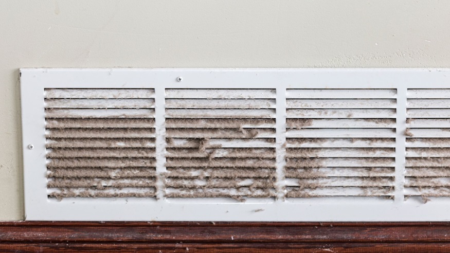 What You Need to Do Immediately if You Have Mold in Your Air Ducts?