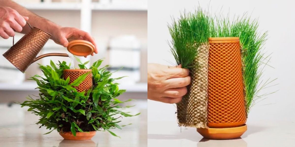 Innovative Designs in Plant Containers