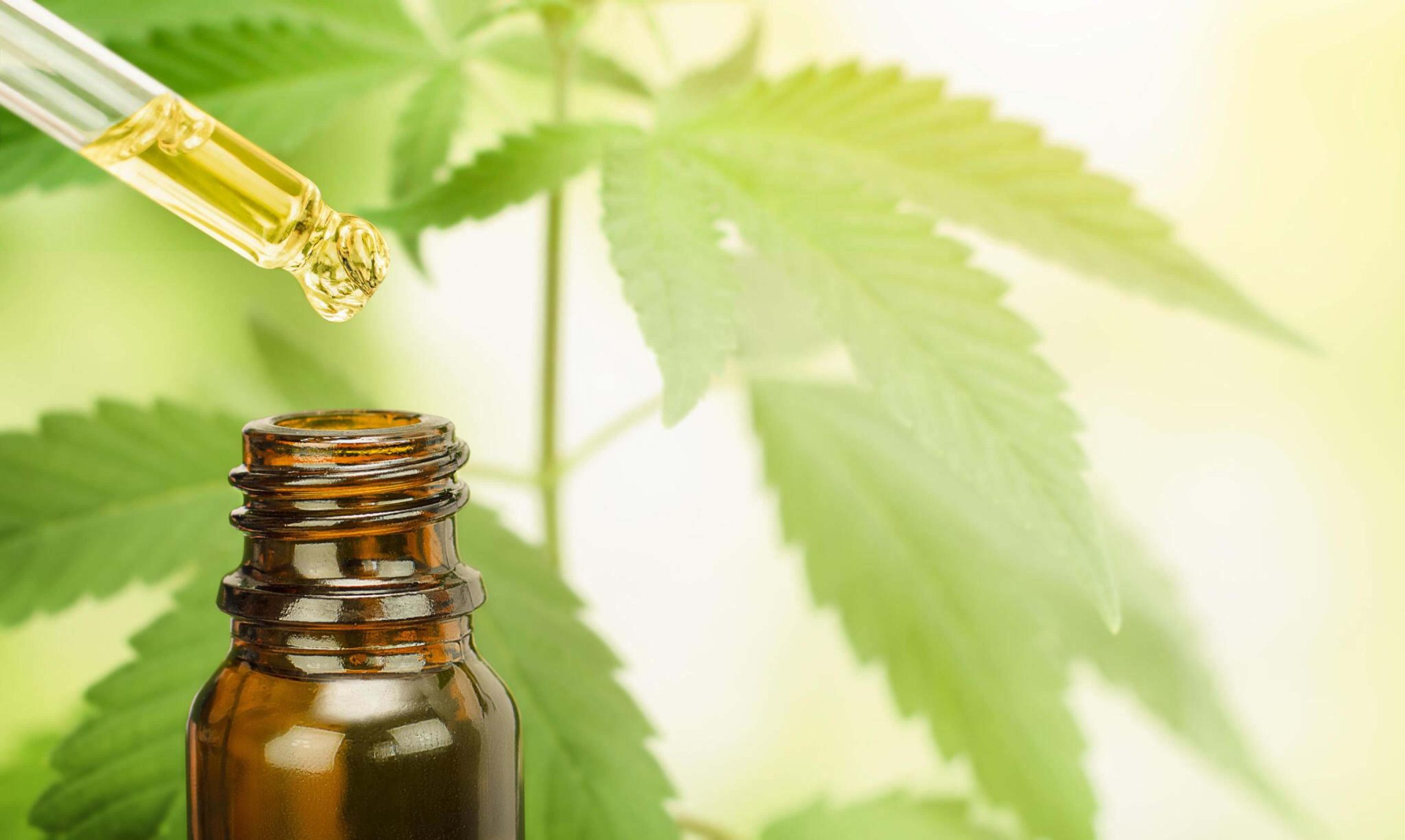How to use the best CBD oils as per your healthcare requirements? 