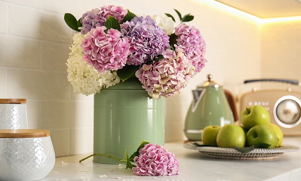 Looking for Luxury Blooms? How to Choose the Best Hydrangea and Peony Arrangements